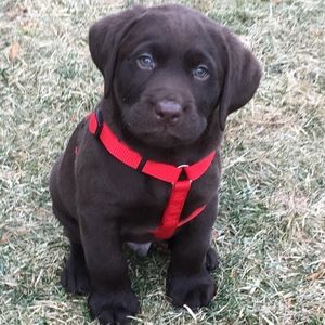 Meet your Posher, Jackie